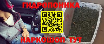 тгк Заволжье