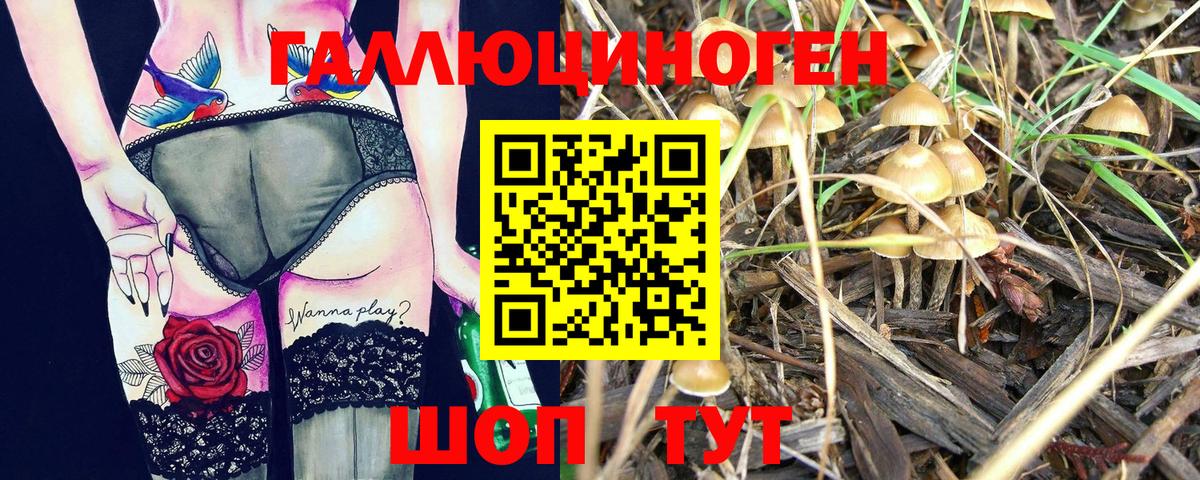 Псилоцибиновые грибы мицелий  Вход с VPN  Галлюциногенные грибы Psilocybine cubensis  Михайловск 