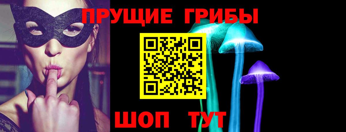 Галлюциногенные грибы Cubensis Михайловск